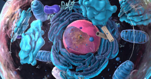 Hyperbaric Oxygen Cell 